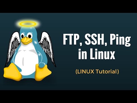 how to ping in linux command