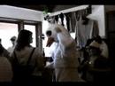 The Goose Visits Gainey Winery
