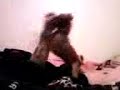 Tucker wrastling