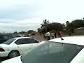 sono la trakatera en la gran plaza de mazatlan