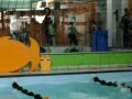 festival da academia Estaçao Saude Fitness - nataçao, fikei em primeiro!