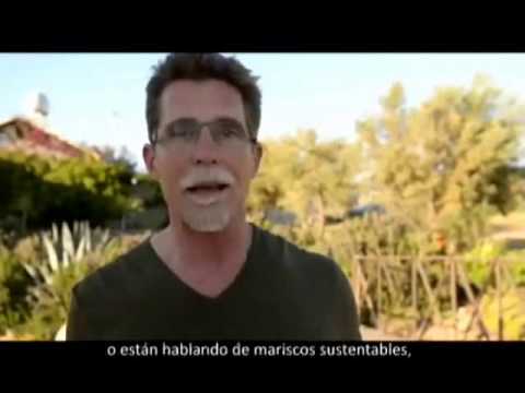 descubrebajacal -