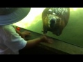 Beaver Waves To Kid