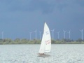 470er Segeln am Dümmer See