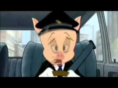how to become a cn police officer