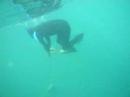 Spearfishing: A 45-PoundTuna