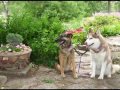 Haliey & Chloe's Garden Stroll