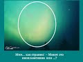 Чудеса природы