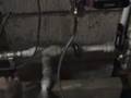 WVO Filtration Unit