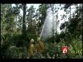 videos de Brush Fire Near Homes, May 31, 2008