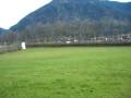 Dahoam Flieger