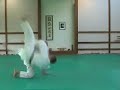 Ju-Jitsu *** Ude Hishigi Waki Gatame