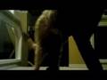 Horn Dog - A JungBucket Digital Short