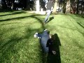 jackass-two.html