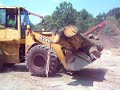 Grinding logs in a Morbark 1300 tub grinder chipper