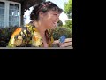 TAO - The Anonimous Orchestra - Ukulele in Sausalito TAO - The Anonimous Orchestra - Ukulele in Sausalito