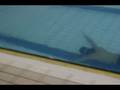 videos de RENZO COSTANTINI..NO LIMITS..