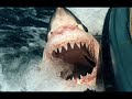 Top 10 Deadliest Animals song Great Big Sea - End Of The Wor