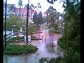 Walt Disney World\ Walt Disney World\