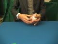 texas-hold-em-dealing-gameplay-.html