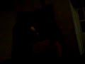 trica haciendo el pa�al