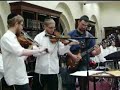 Twin Violin