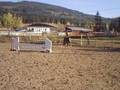 videos de Snepts Clear Round Jumper