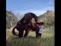 Horny Animals 1
