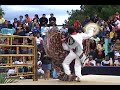 jarabe mixteco