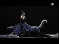 Alessandra Ferri: Die Kameliendame, Blue pdd