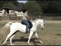 Peggy Finnerty and Sam Parelli Level 3 Assessment Tasks