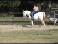 Peggy Finnerty and Sam Parelli Level 3 Assessment Tasks