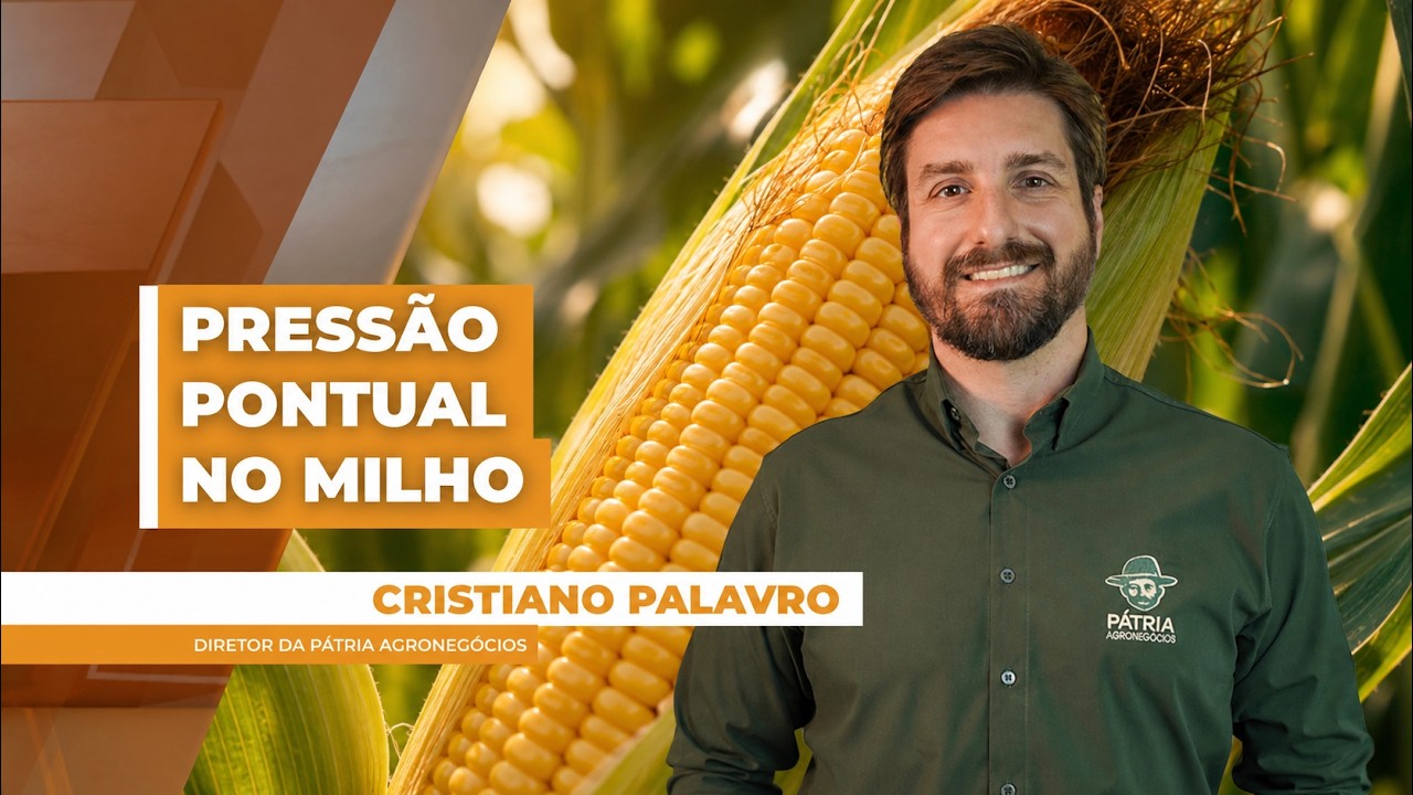 Conclusão da colheita da safra de verão e início da safrinha se fundem e pressionam mercado....