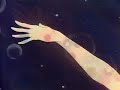?? M�sica de Sailor Moon. Valor ?? [Determination]