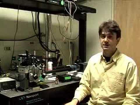 Single Molecule Fluorescence