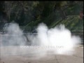 CARRERA GT BURNOUT & DONUTS