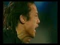 The Haka - All Blacks The Haka - All Blacks