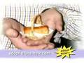 Adopt a Cheesy Bite