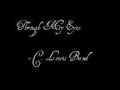 C.Lewis Band - Through My Eyes
