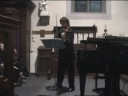 Liviu Prunaru plays Beethoven \"Spring\" Sonata 4th.mvt