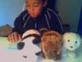 wwf wildlife:wwf bears