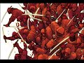 the classic music from the gameboy version of ninja gaiden to go along with some ninja images. if you wish to download this you can try this link. www.megaupload.com