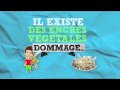 Livre Traditionnel Ou Livre Numérique