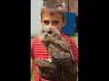 FALCONIERI DI SUA MAESTA FALCONIERI DI SUA MAESTA