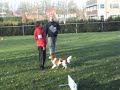 Kooiker GG2