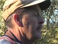 Feral Hogs: The Pig Problem in Texas