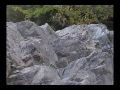 Losi Mini Rock Crawler Testing 09.10.12