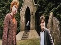 Harry and...
