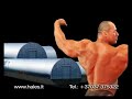 pocius pocius