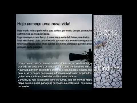 vida guira